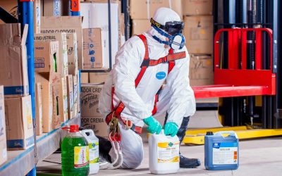 Why Do We Keep Creating Chemicals That Destroy Us?